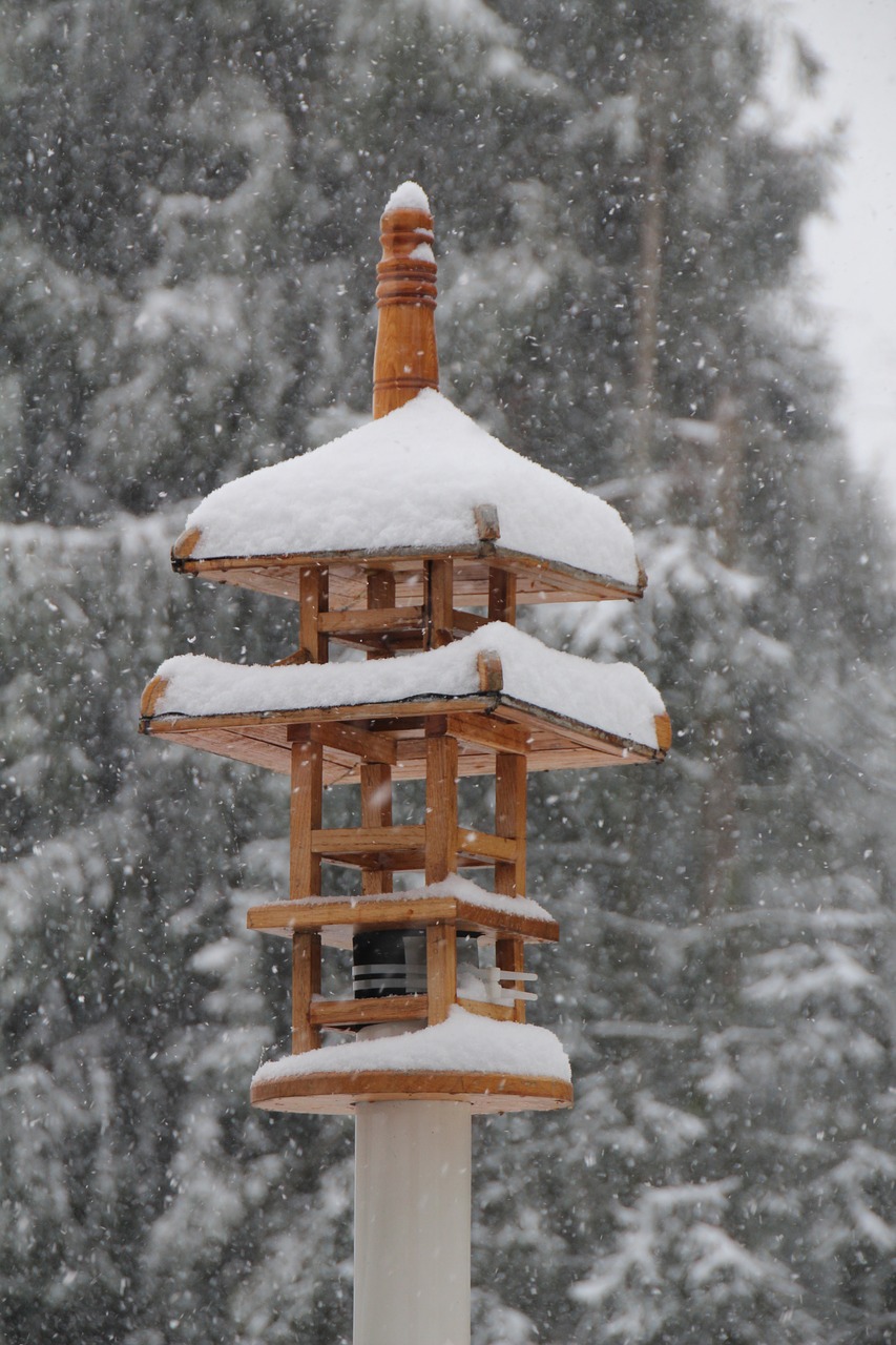 aviary bird feeder japanese free photo