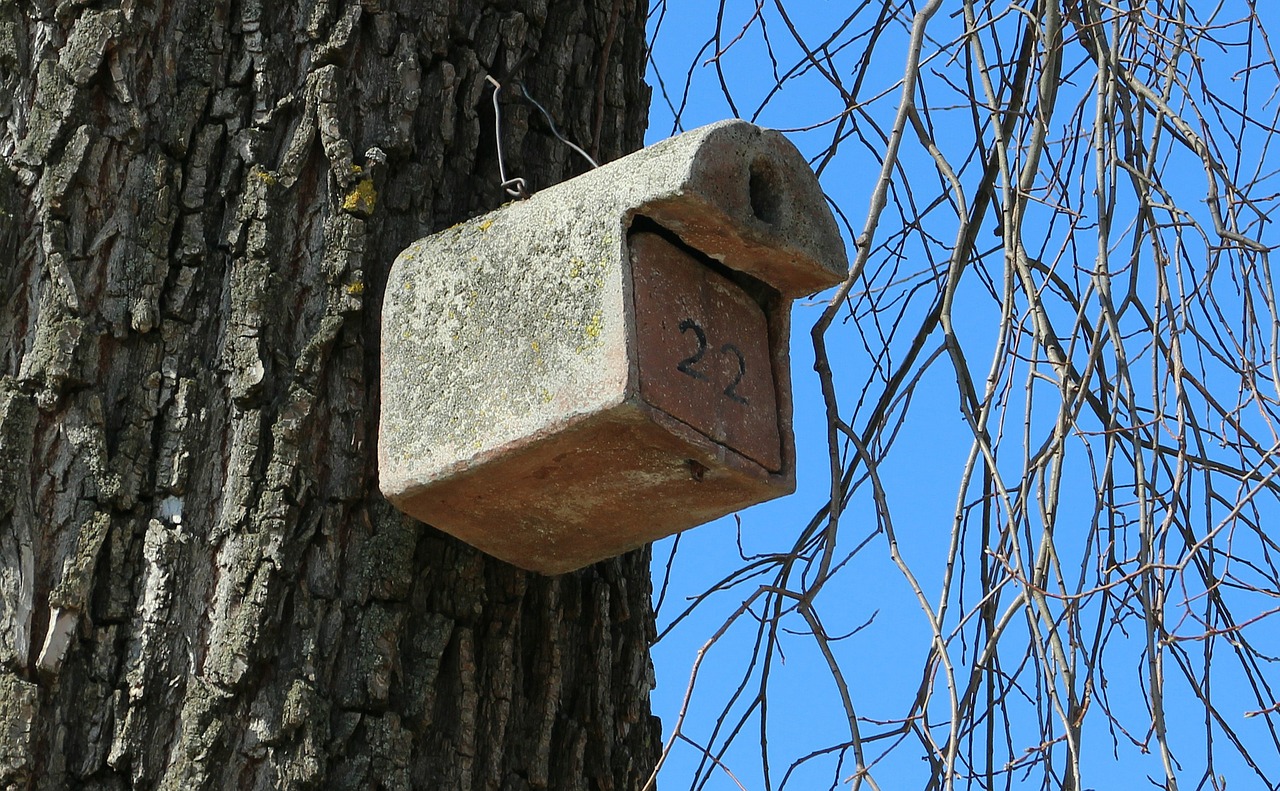 aviary bird feeder nesting help free photo