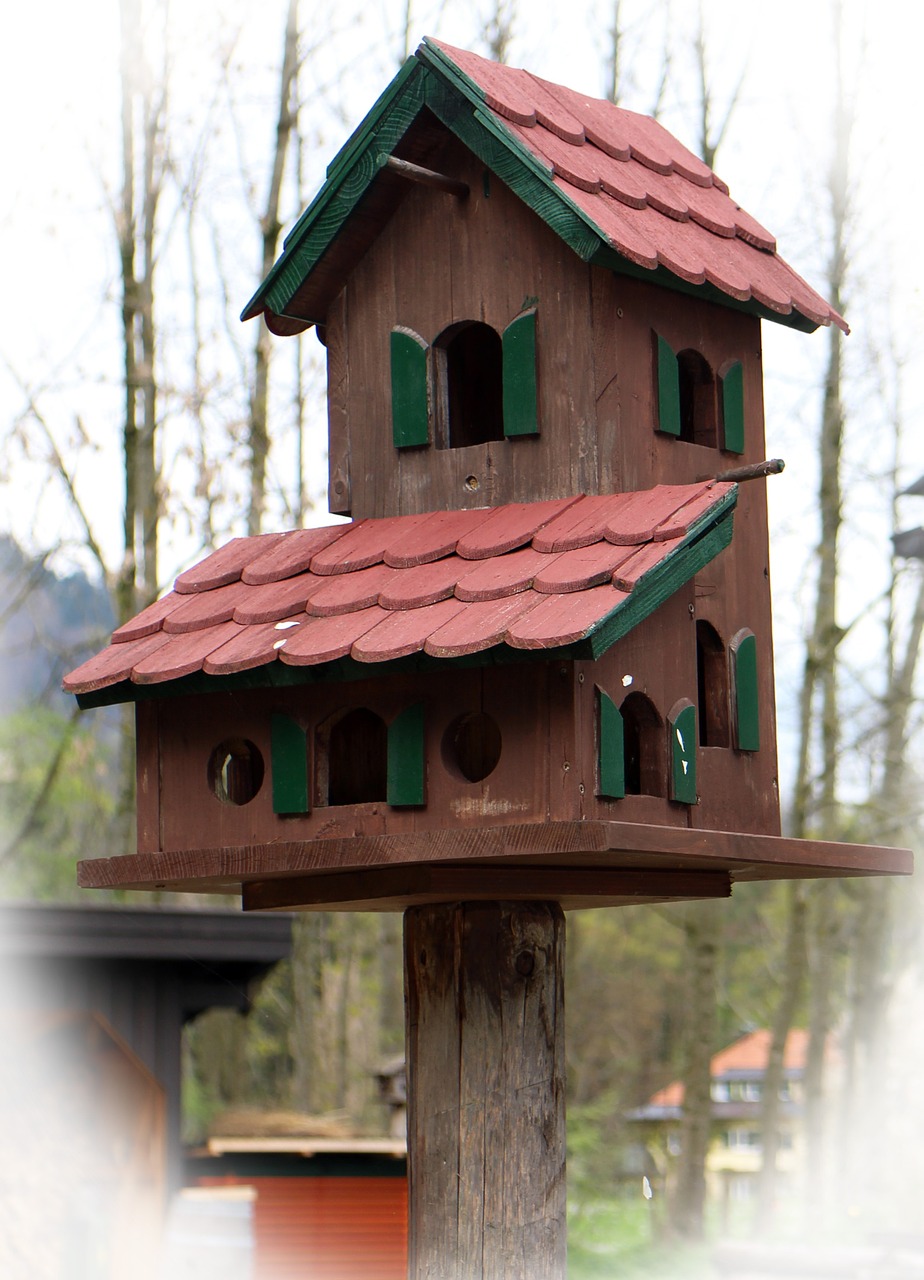 Aviary Bird Feeder Bird Nesting Place Animal Welfare Free Photo