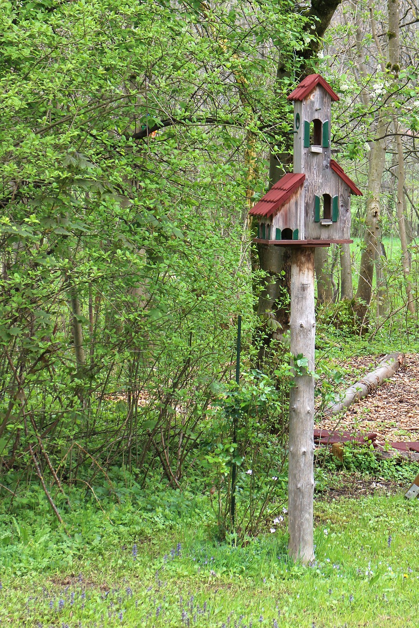 Aviary Bird Feeder Bird Nesting Place Animal Welfare Free Image