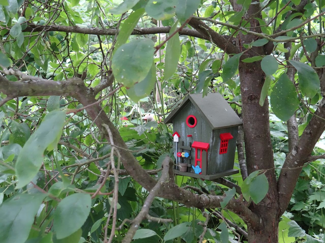 aviary nesting box bird feeder free photo