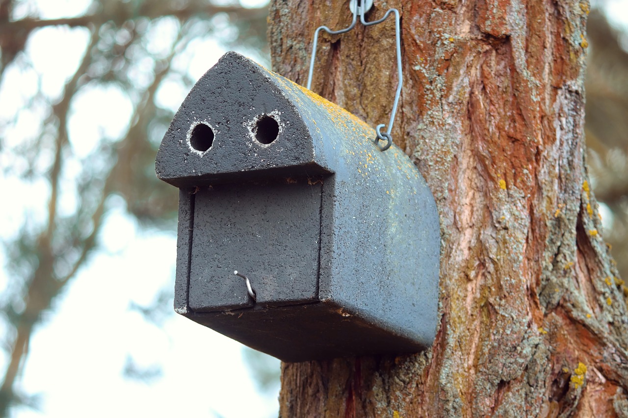 aviary  nesting box  nature conservation free photo