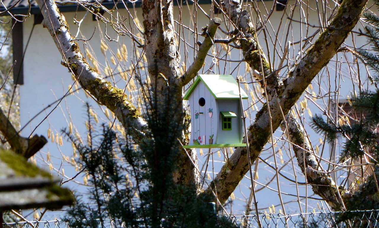 aviary nesting box tree free photo