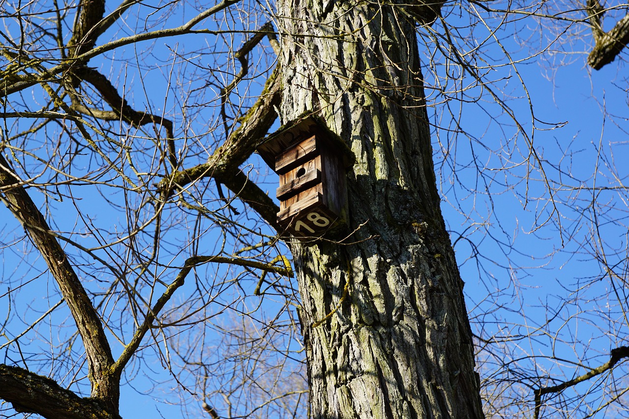 aviary tree nature free photo