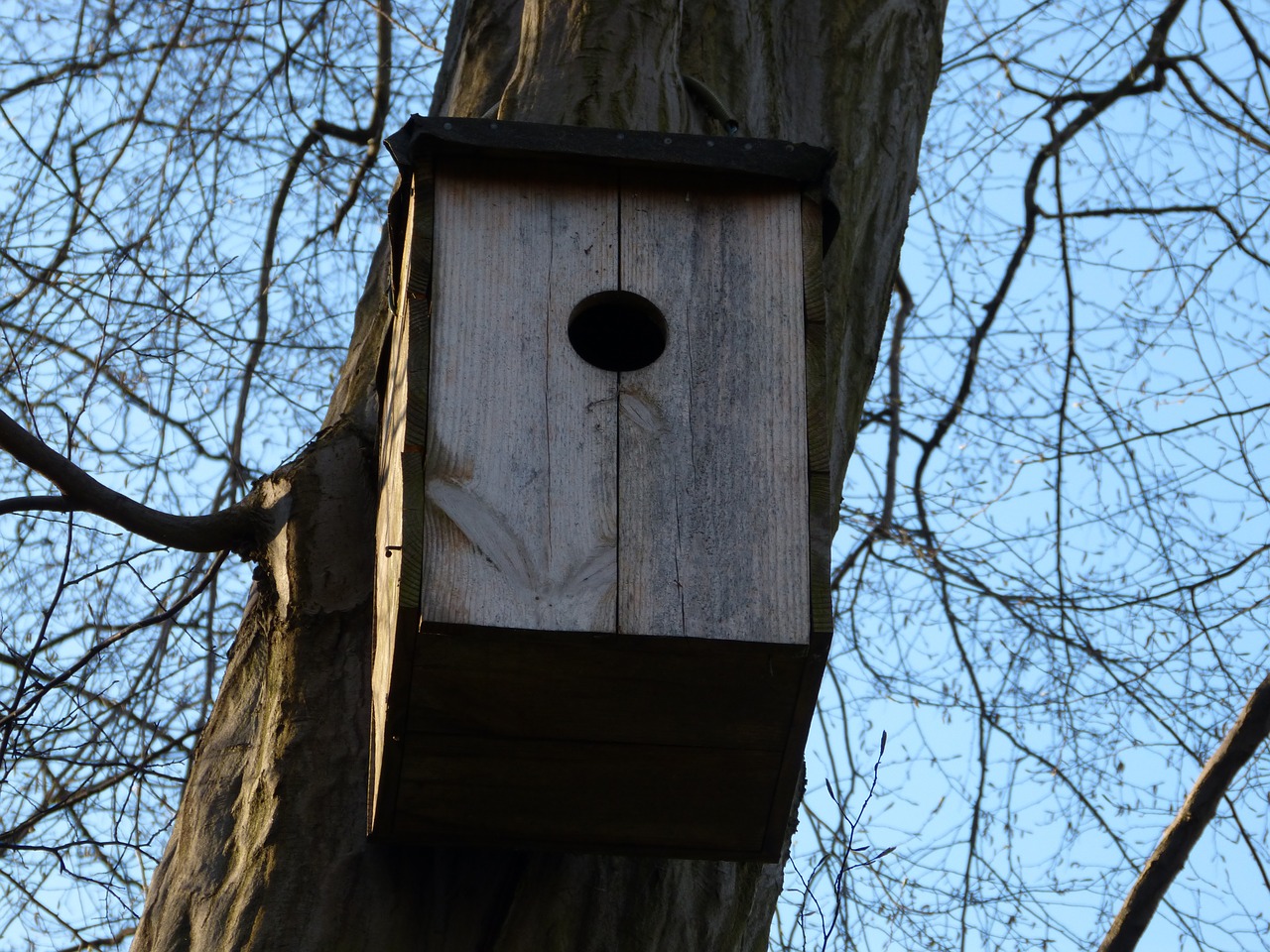 aviary treehouse nesting box free photo