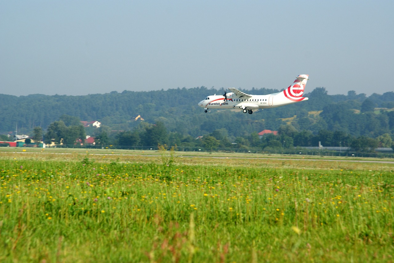 aviation plane airplane free photo