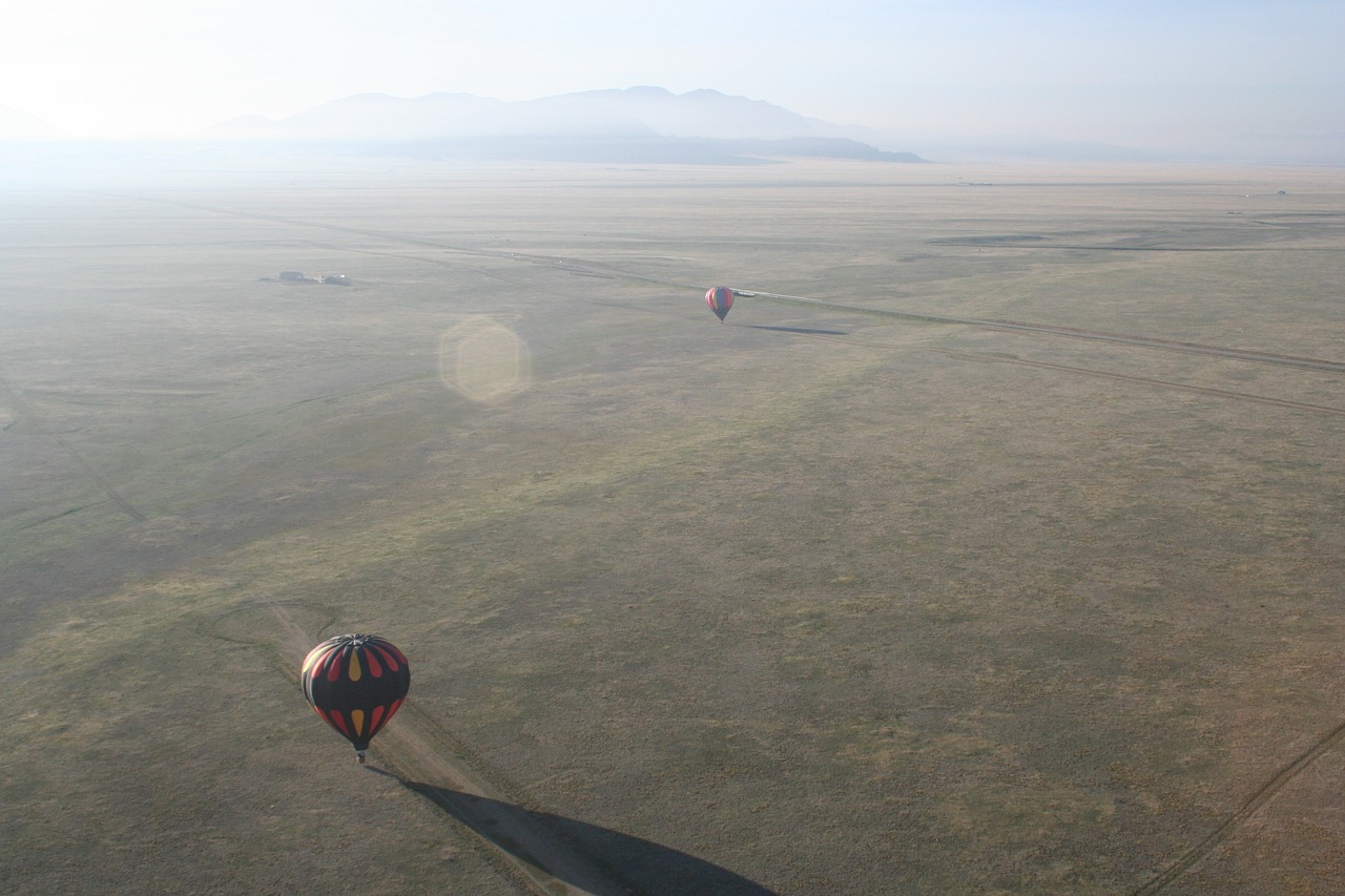 aviation  balloon  flying free photo