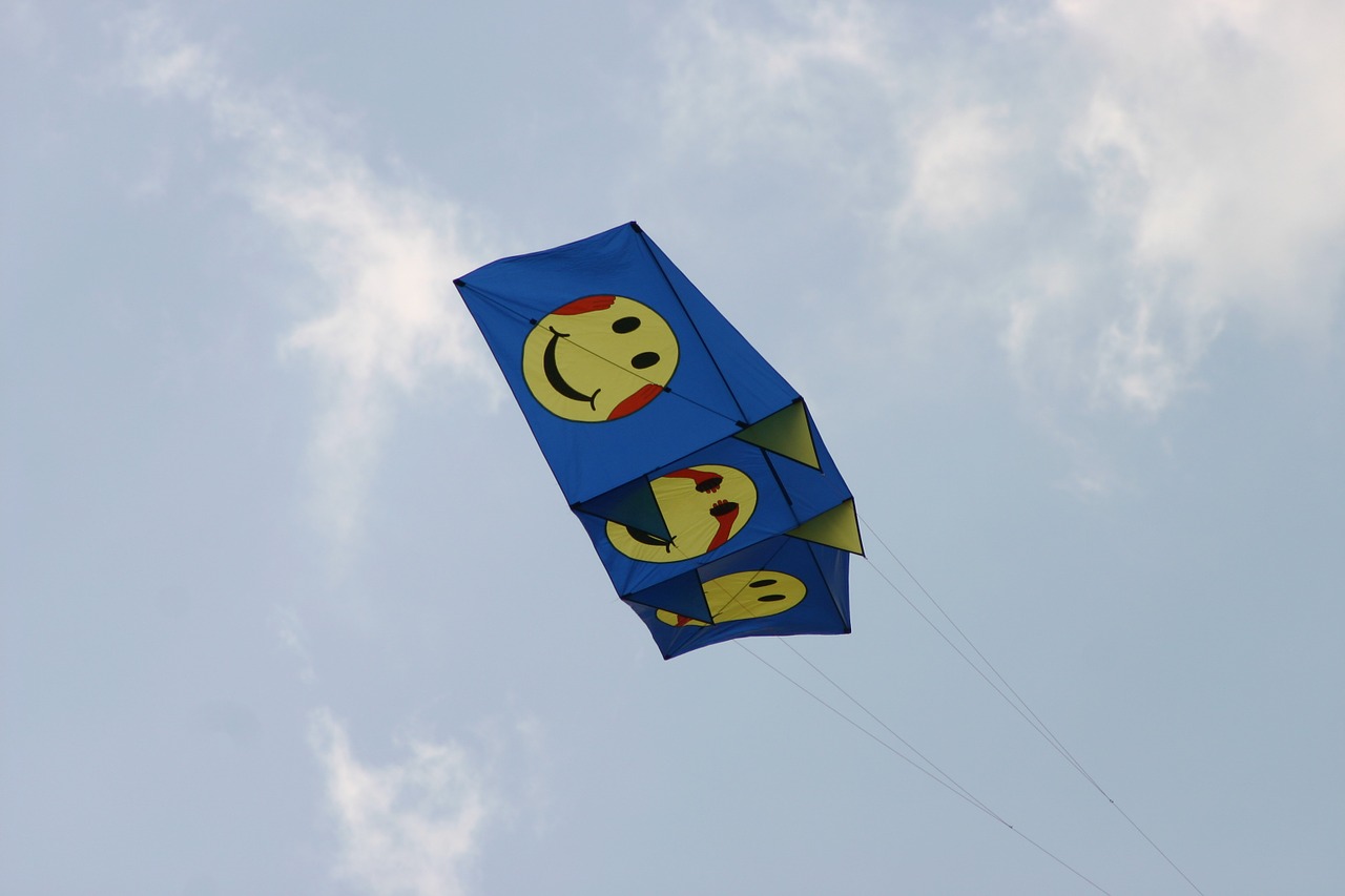 aviator float kites free photo