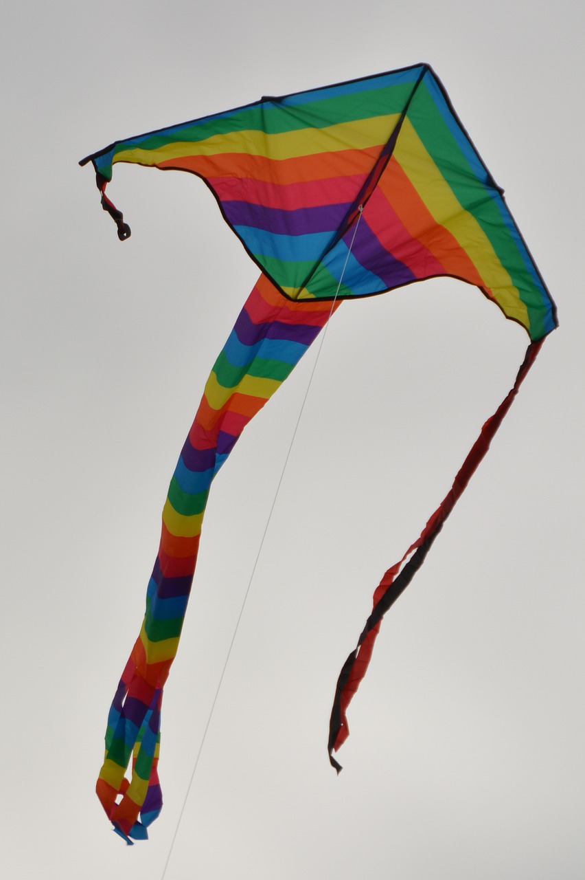 aviator air wind kite free photo