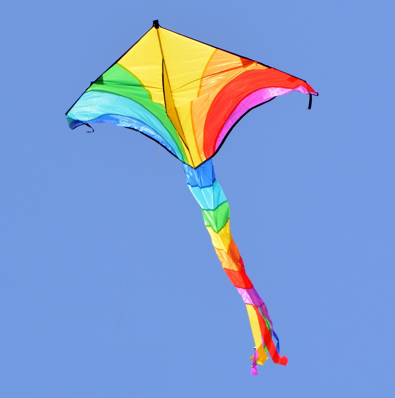 aviator wind kite colors free photo