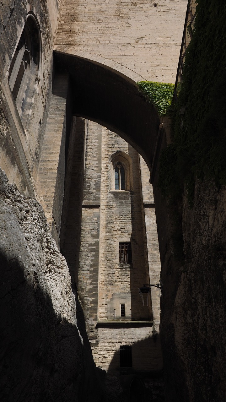 avignon palais des papes battlement free photo