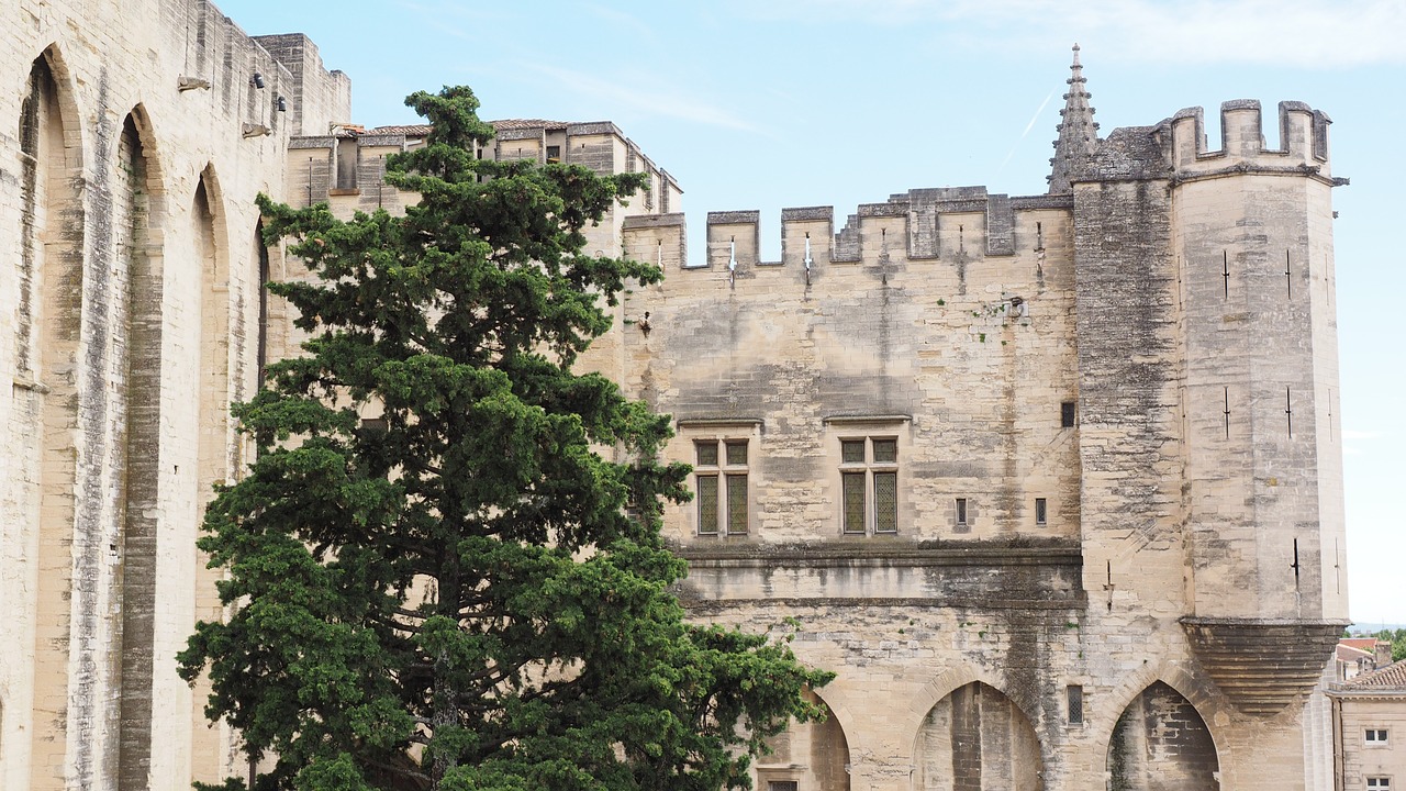 avignon palais des papes city free photo