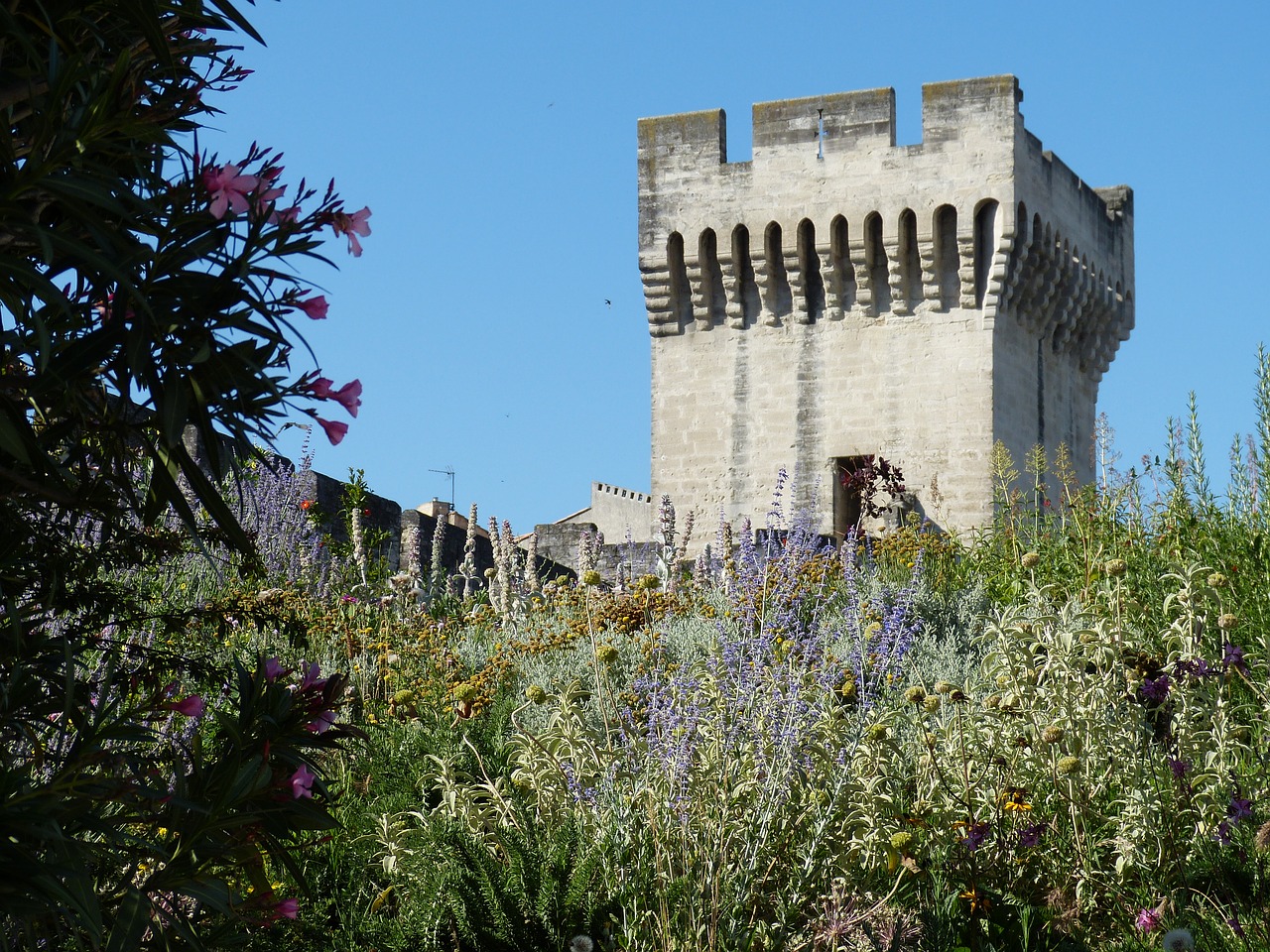 avignon france provence free photo