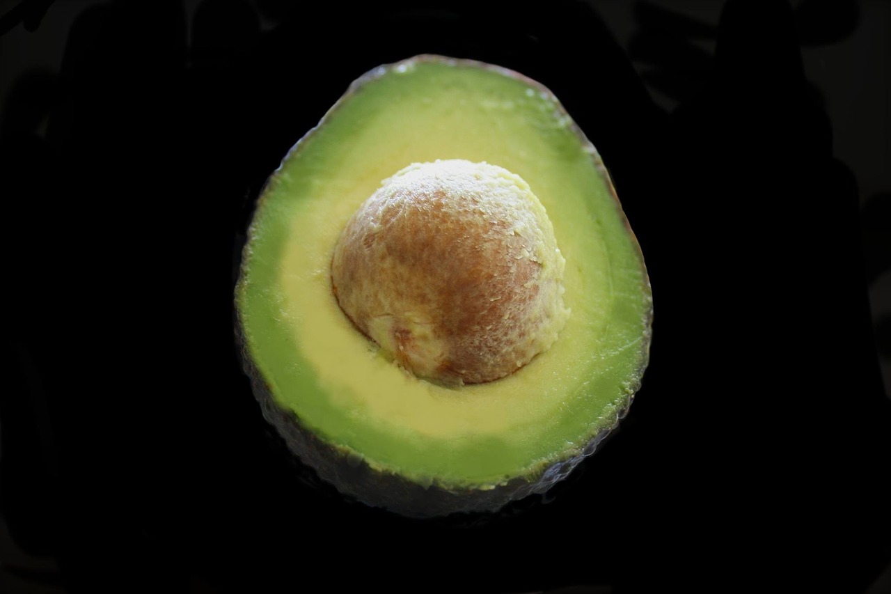 avocado fruit green free photo