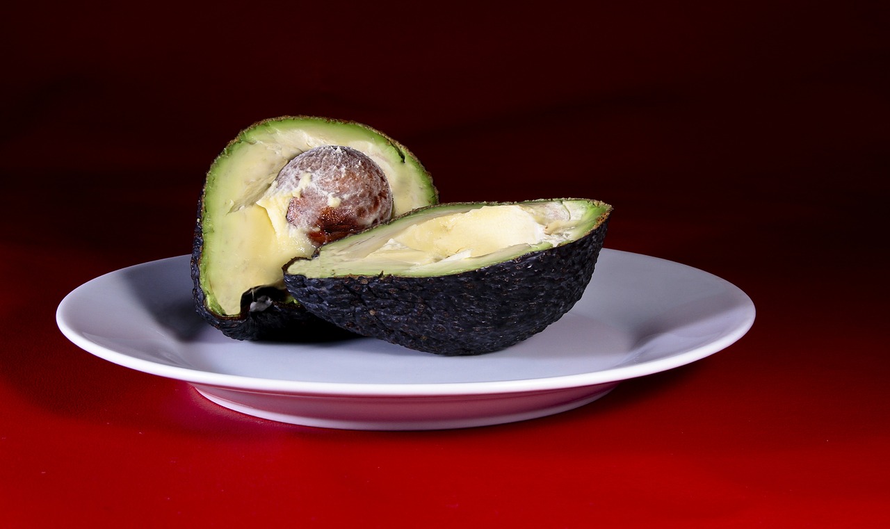 avocado south tropical fruit free photo