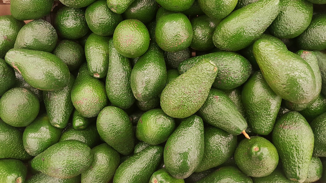 avocado fruit vegetarian free photo