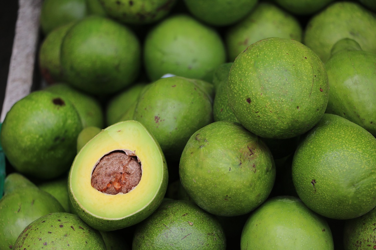 avocado sri lanka fruit stand free photo