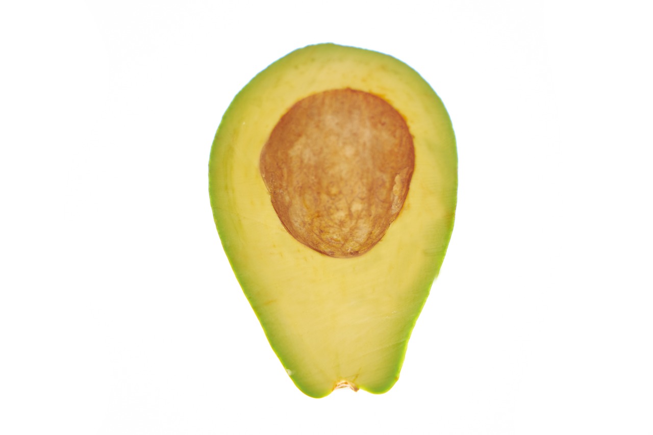 avocado  vegetable  fruit free photo