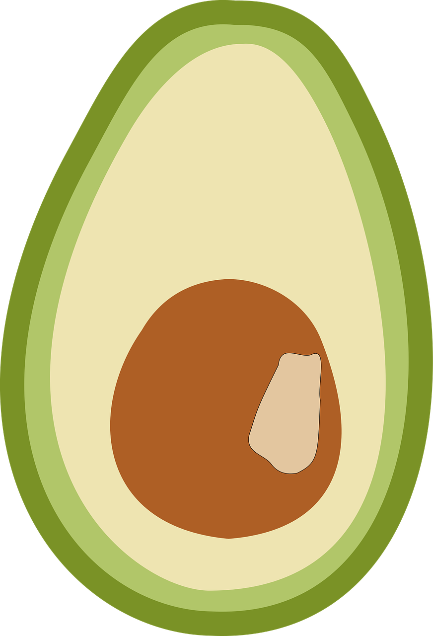 avocado  fruit  vegetables free photo