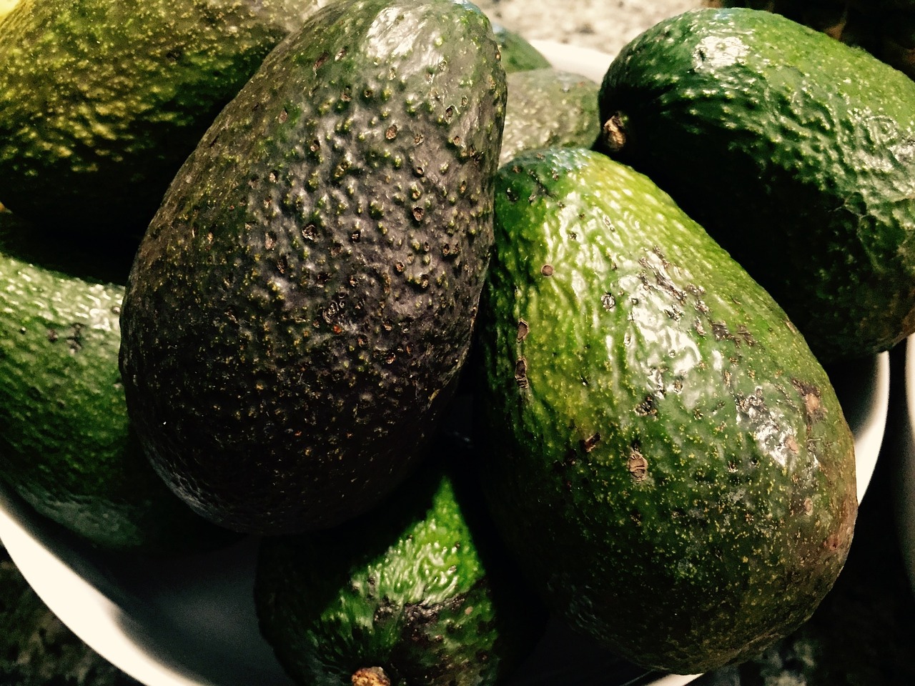 avocados fruit fat free photo
