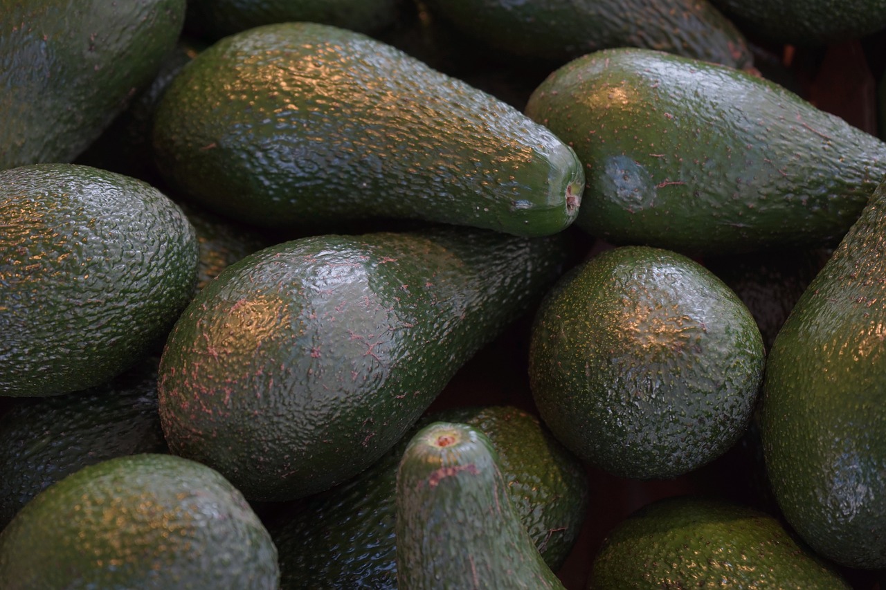 avocados avocado fruit fruits free photo