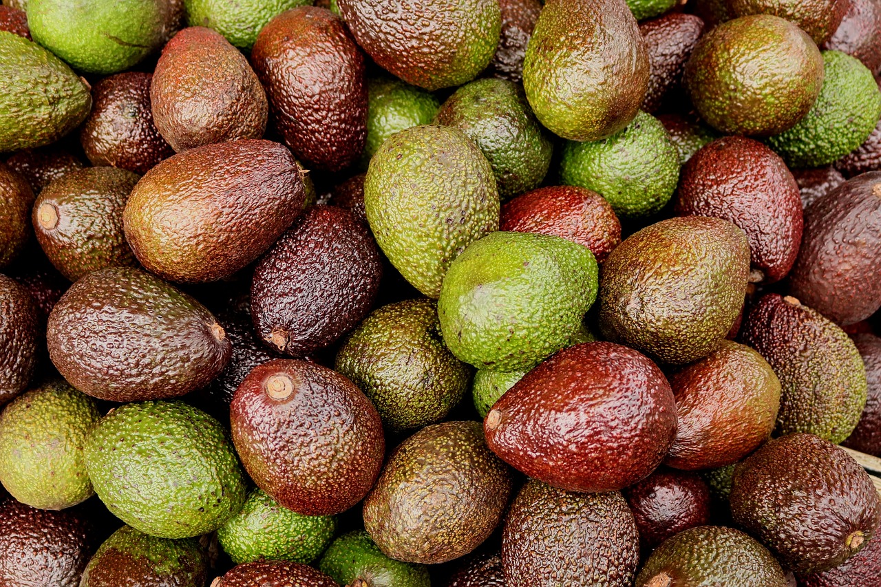 avocados  exotic  fruit free photo