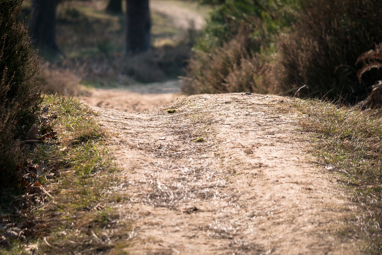 away sand heide free photo