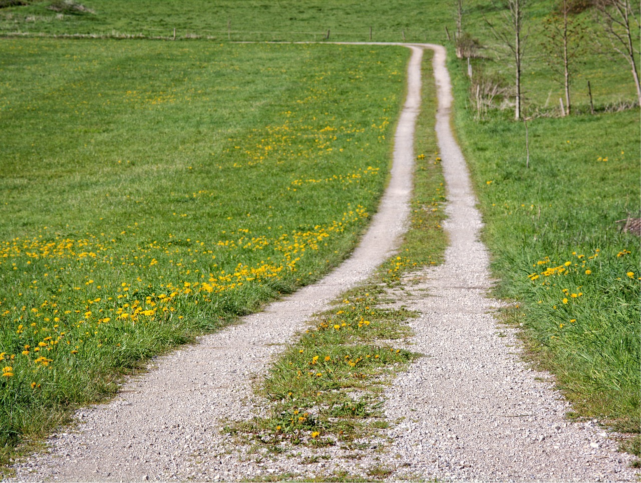 away lane meadow free photo