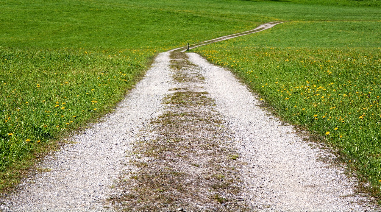 away lane nature free photo