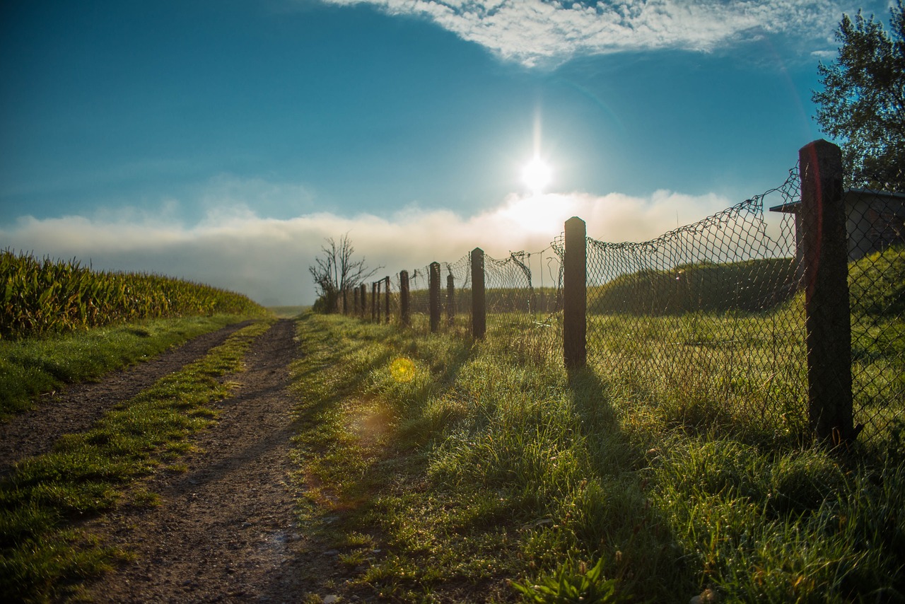 away road lane free photo