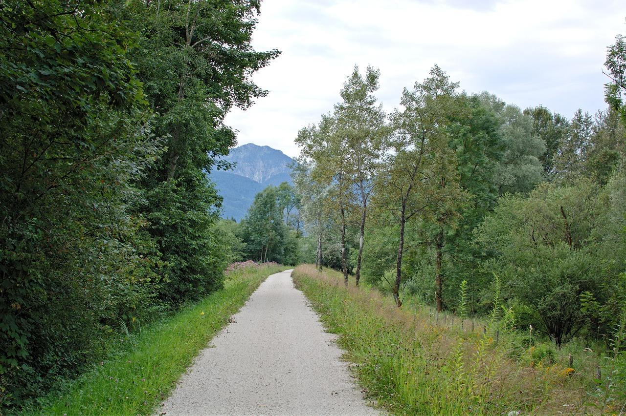 away lane landscape way free photo