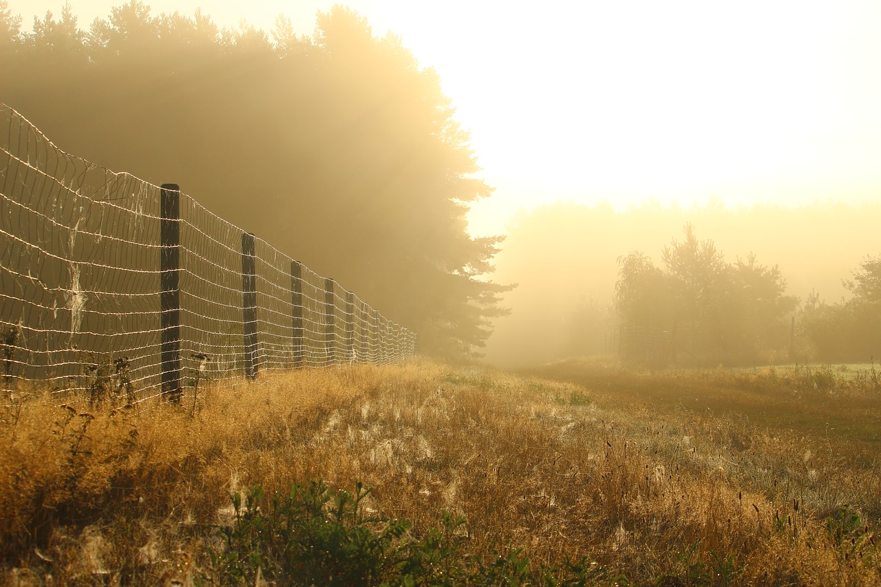 away fog fence free photo