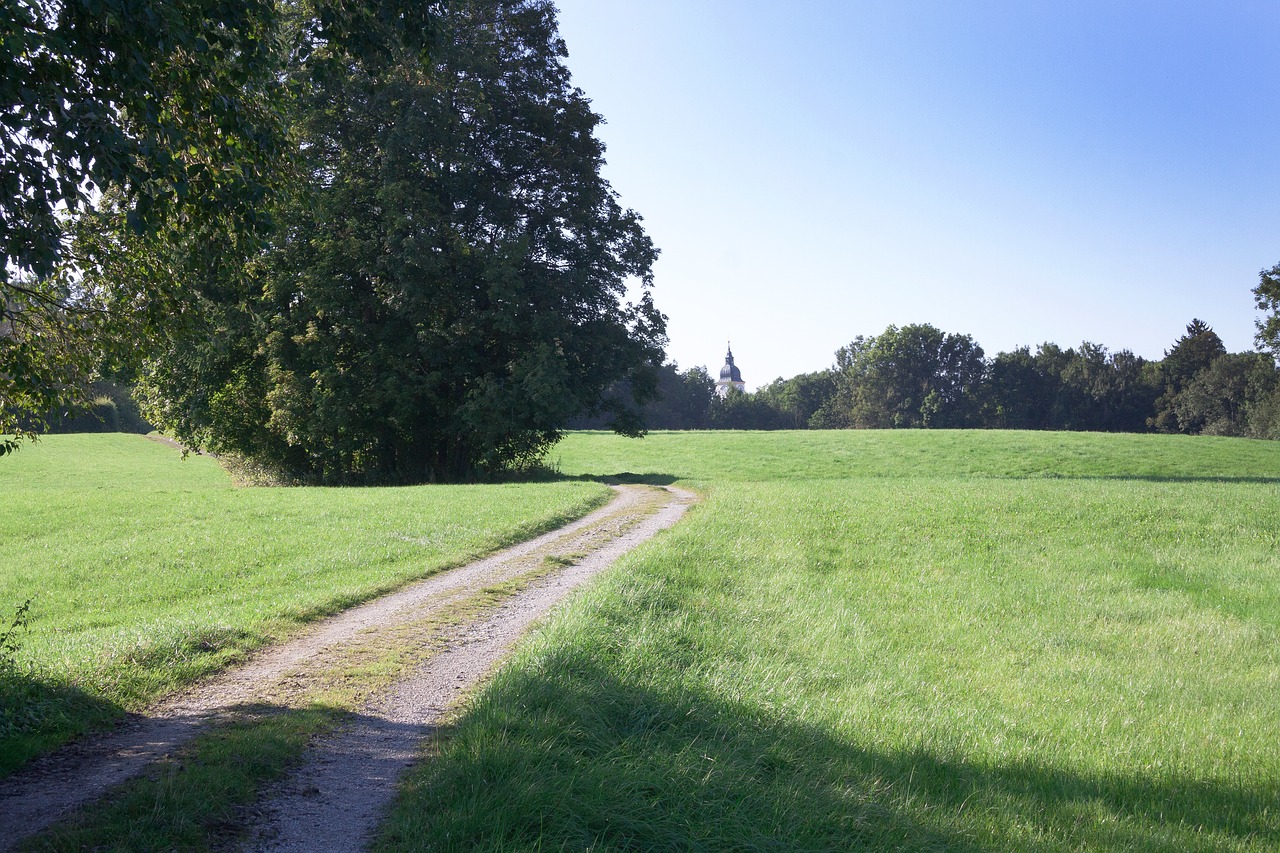 away meadow tree free photo