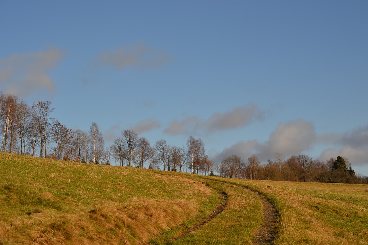 away field meadow free photo