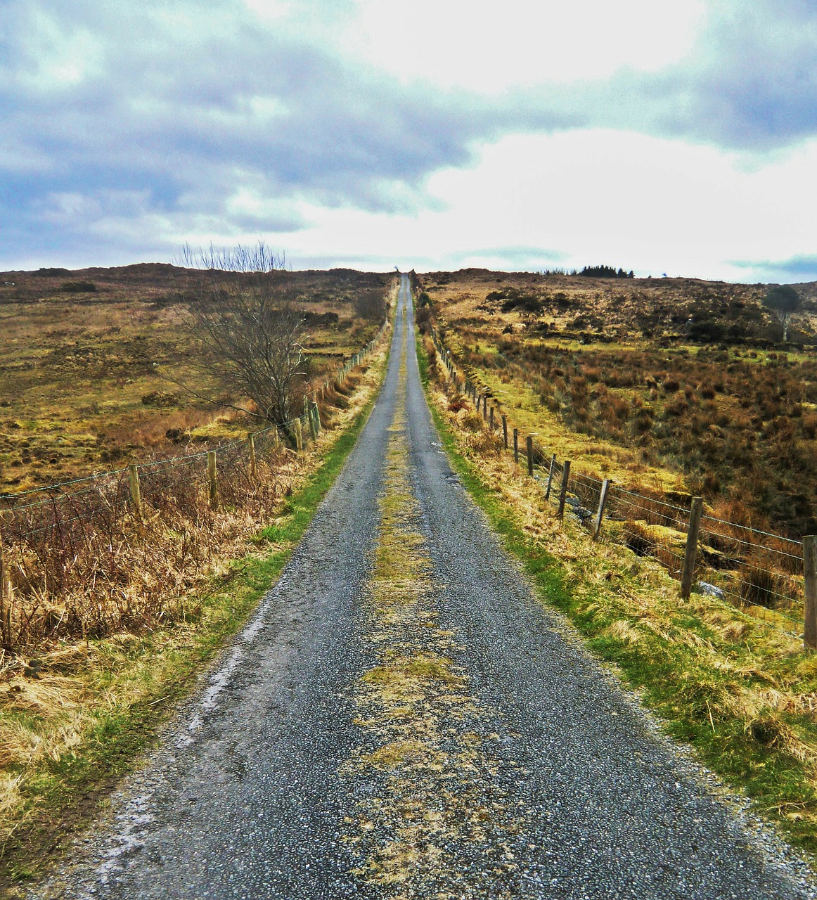 away lane hiking free photo