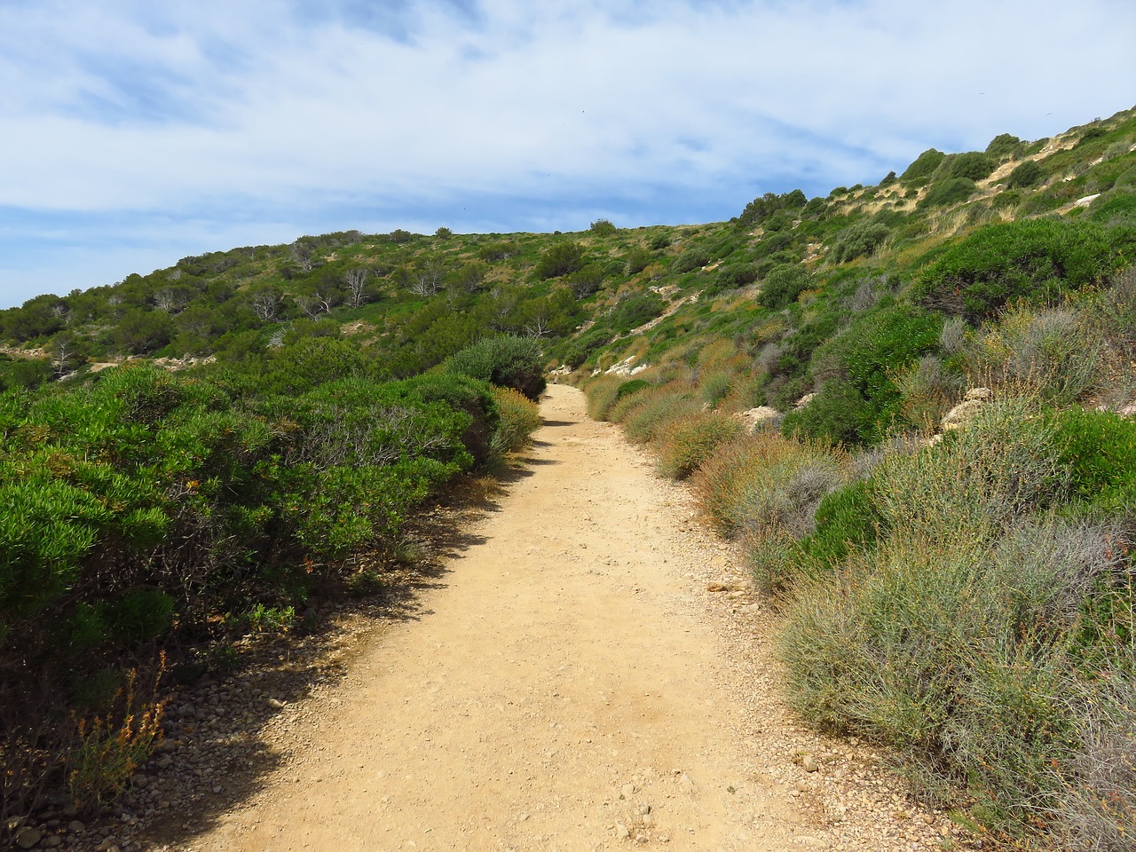 away trail landscape free photo