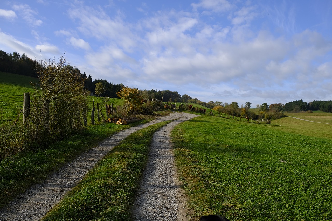 away lane trail free photo