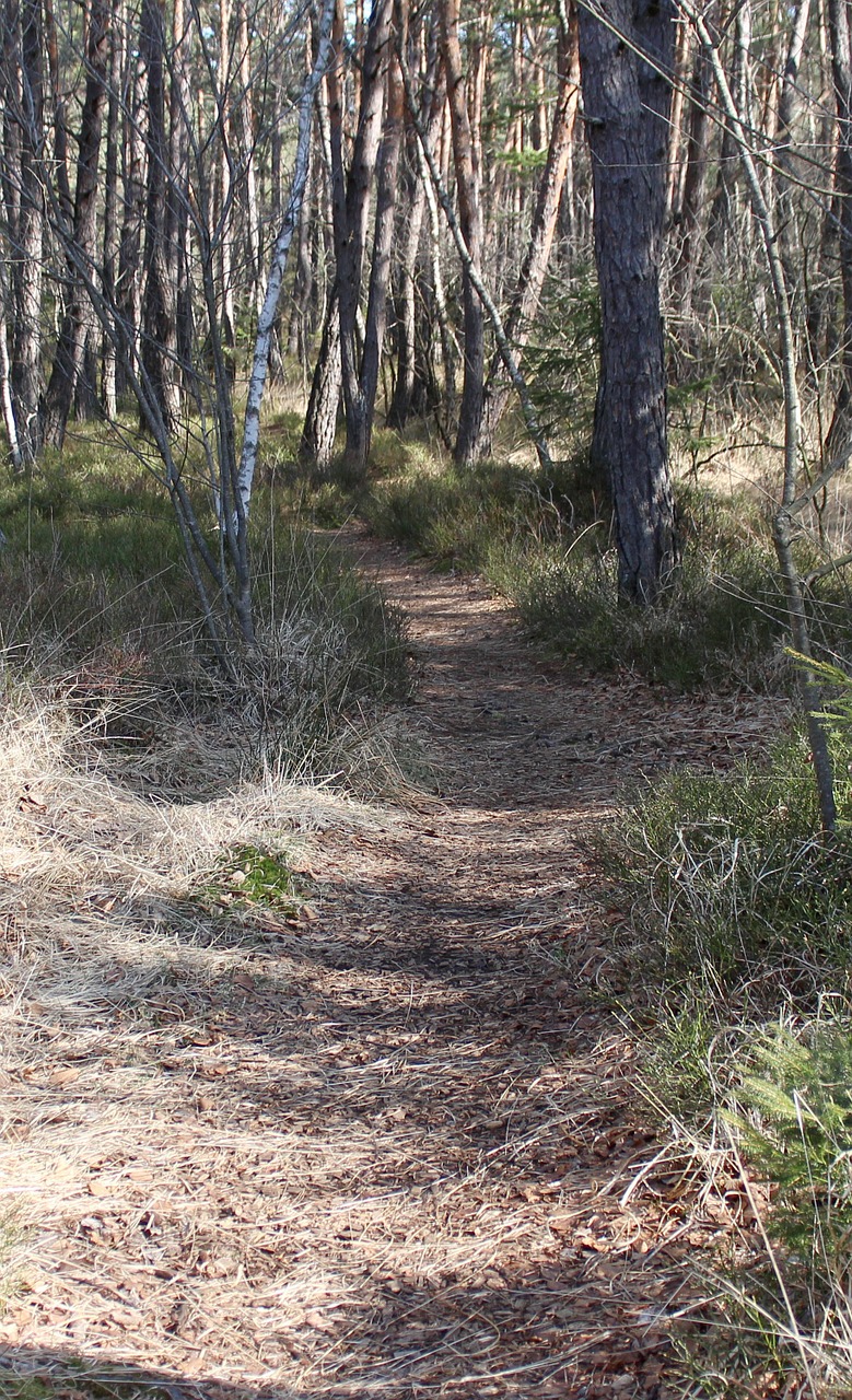 away path hiking free photo