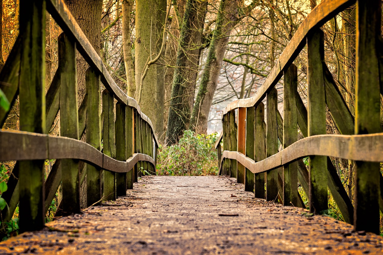 away bridge web free photo