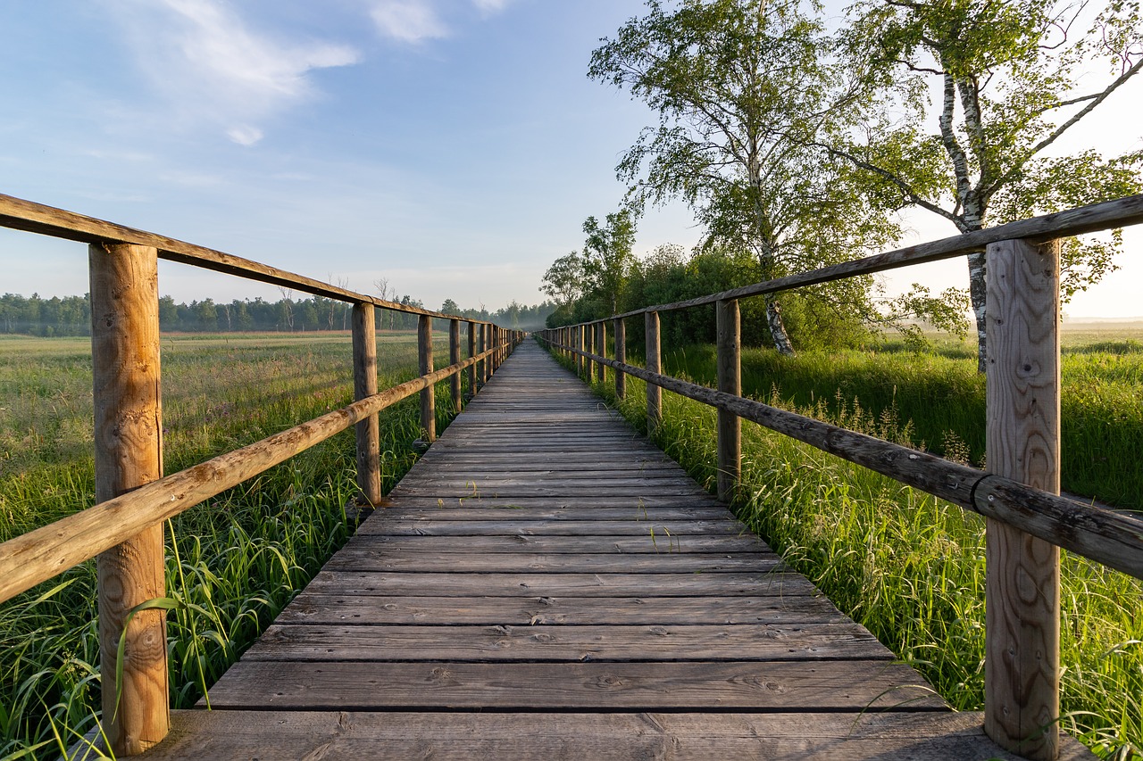 away  web  boardwalk free photo