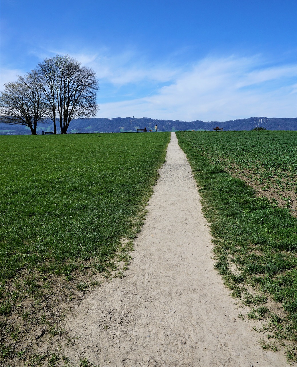 away  road  path free photo