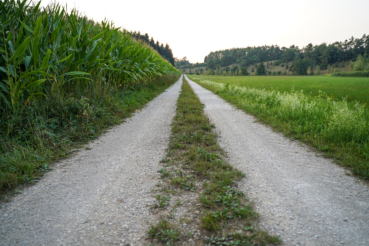 away  gravel road  lane free photo