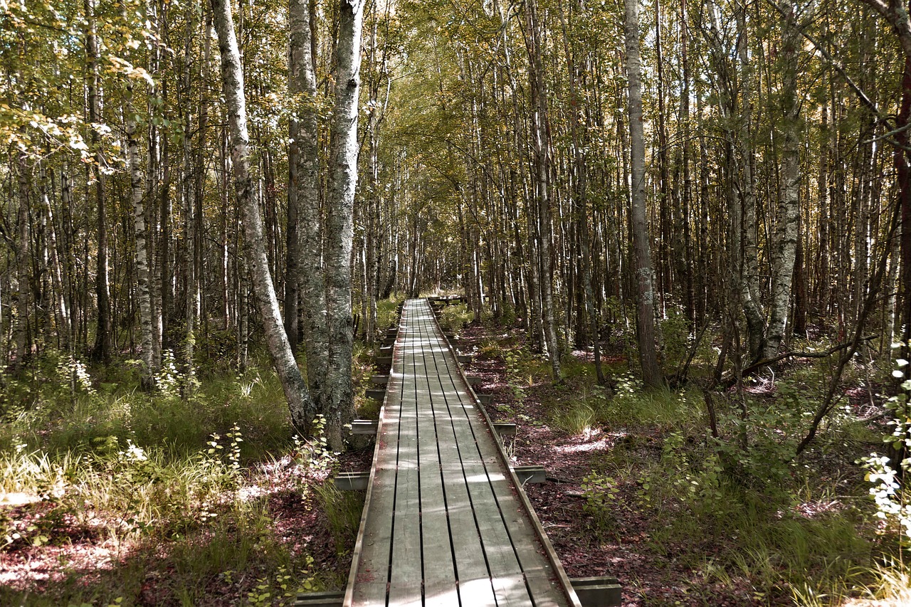 away  bridge  boardwalk free photo