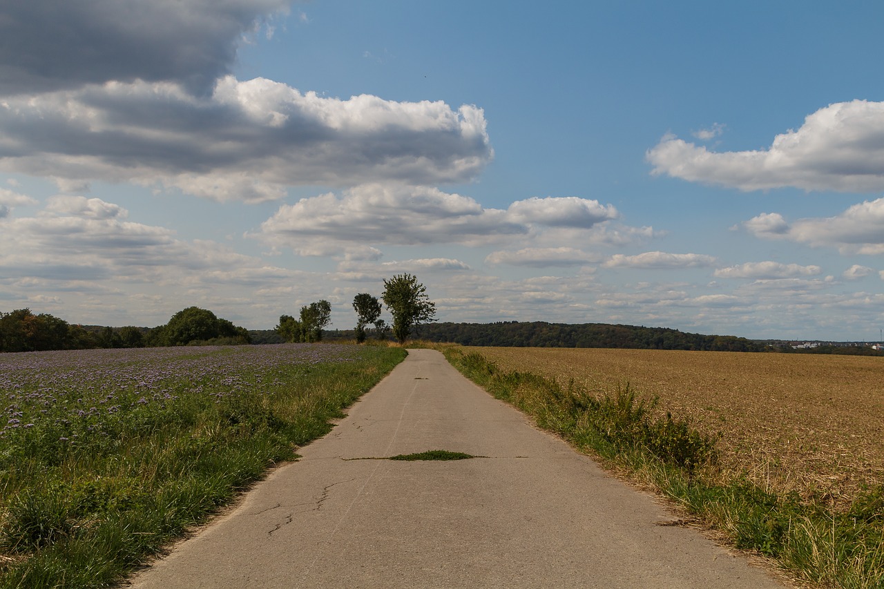 away  field  sky free photo