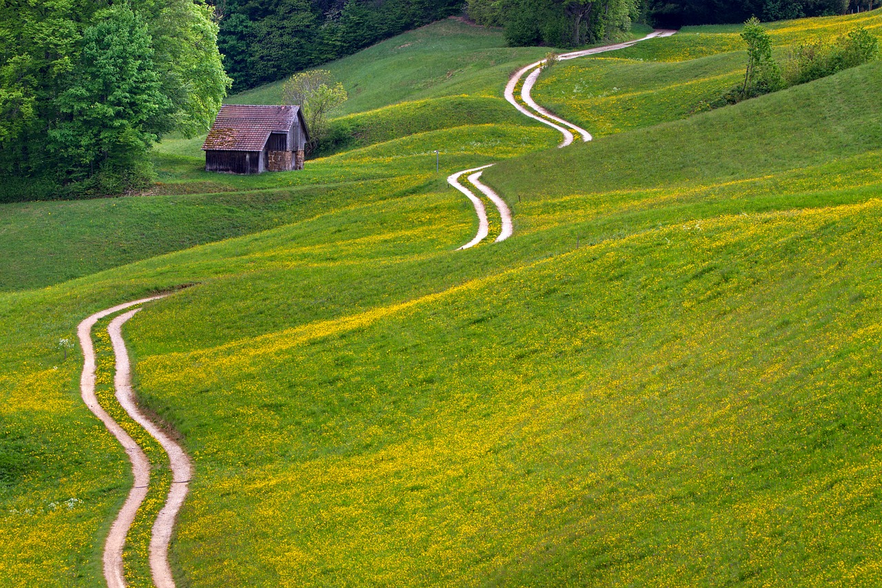 away  meadow  trail free photo