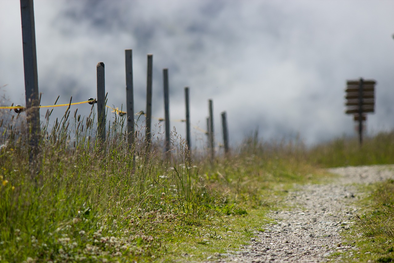 away  field  landscape free photo