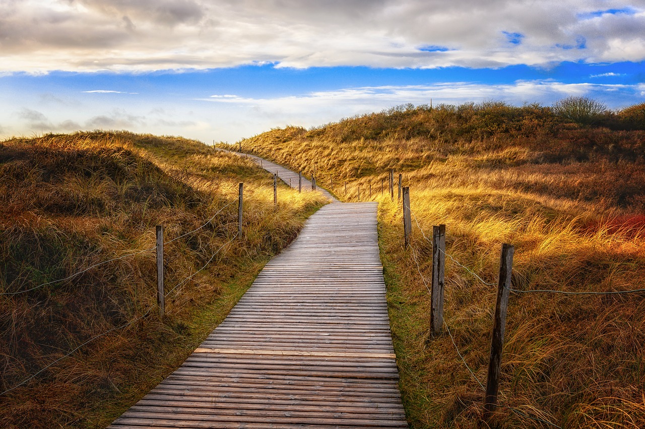 away  path  dunes free photo