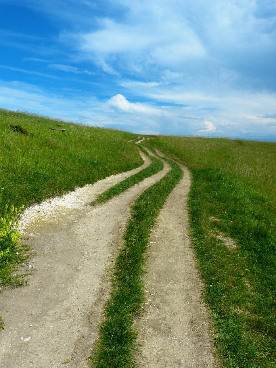 away path trail free photo