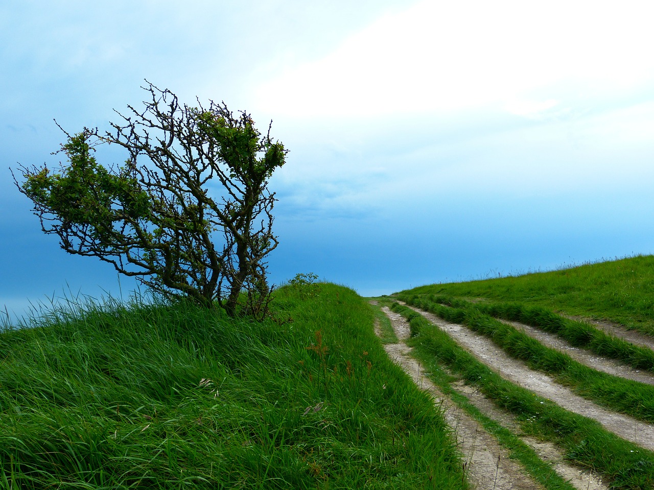 away path hiking free photo