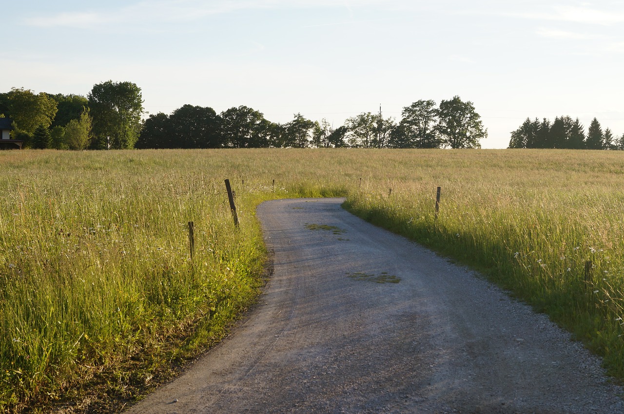 away path meadow free photo